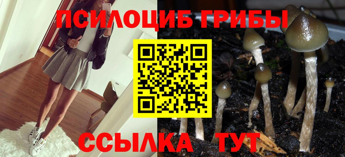 Псилоцибиновые грибы мицелий Медногорск