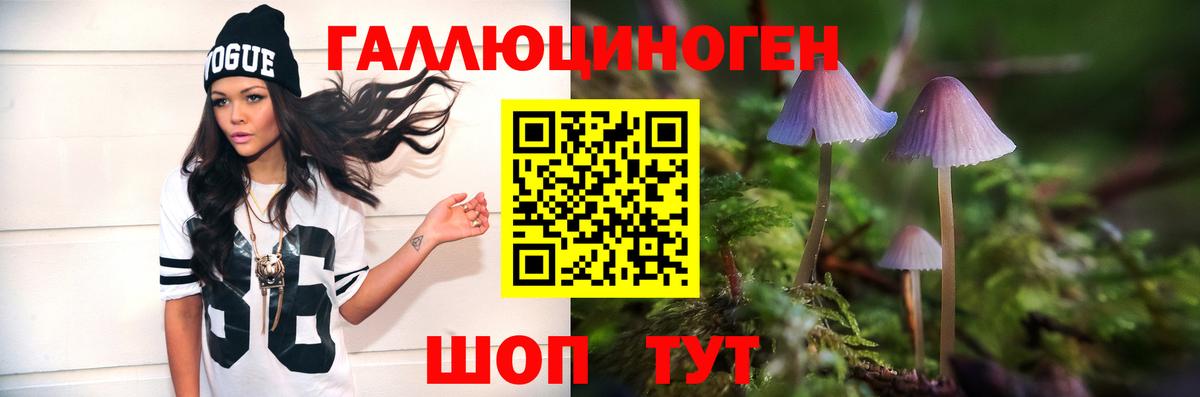 Медногорск  Псилоцибиновые грибы Psilocybe  Вход с VPN 